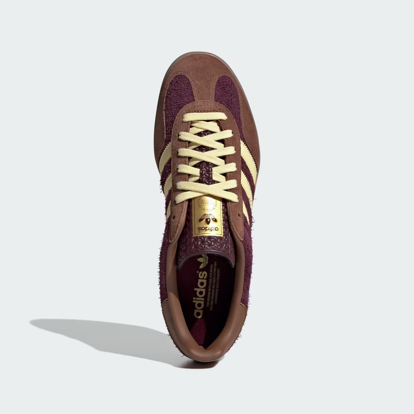 Gazelle Indoor