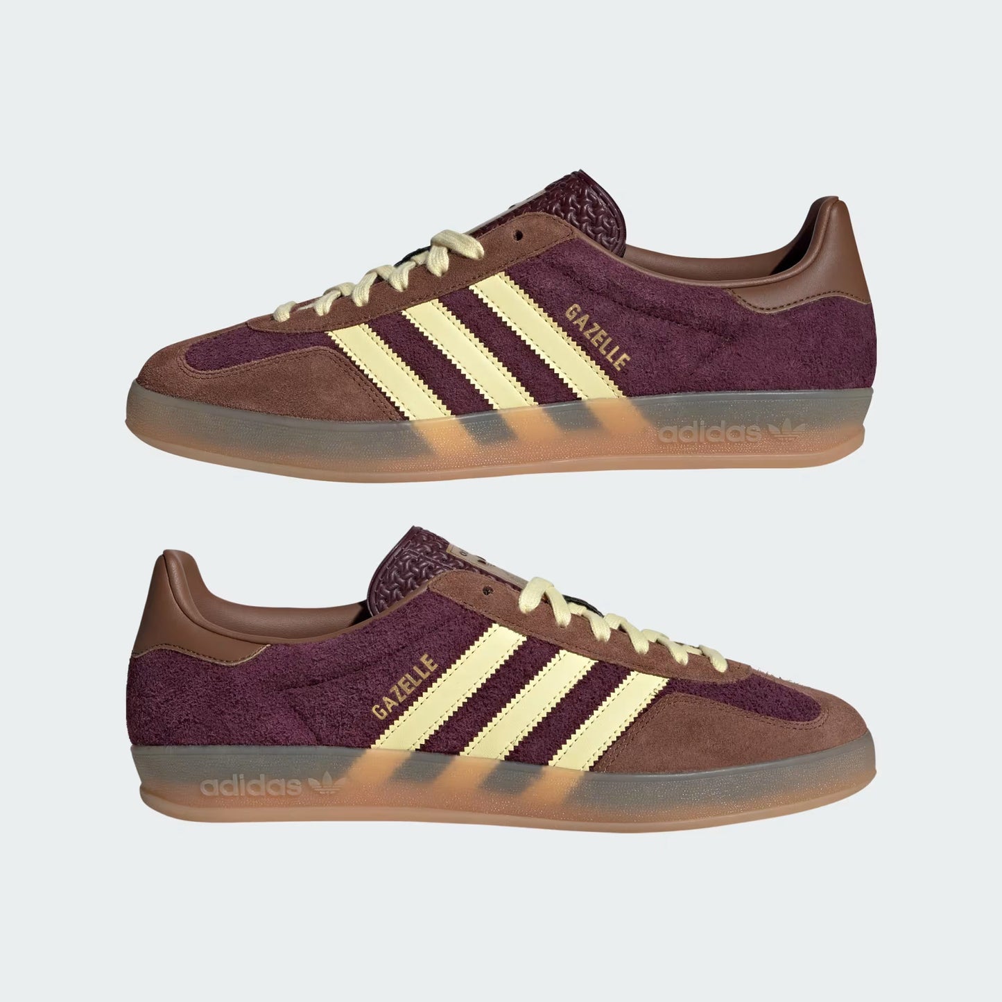 Gazelle Indoor